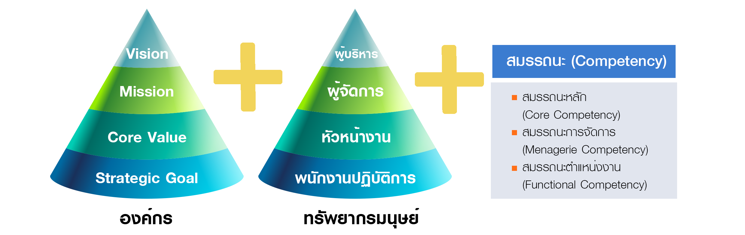 70 20 10 Learning Model