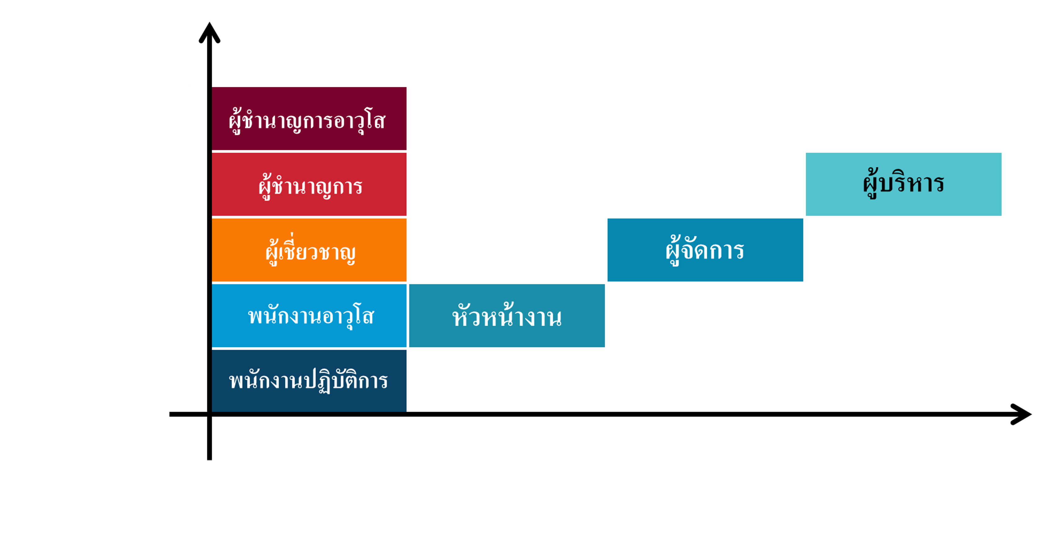 Career Path & Development / Succession Plan